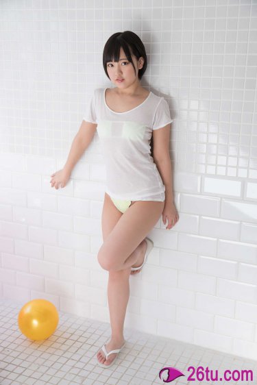 狼群小说